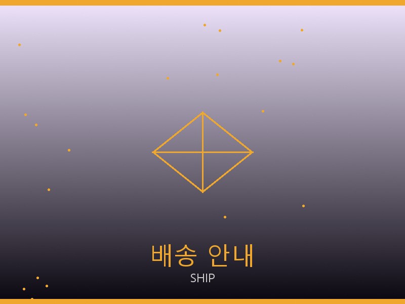 폴로 레이디 루네타 체인 스몰 S급 배송 이용 안내