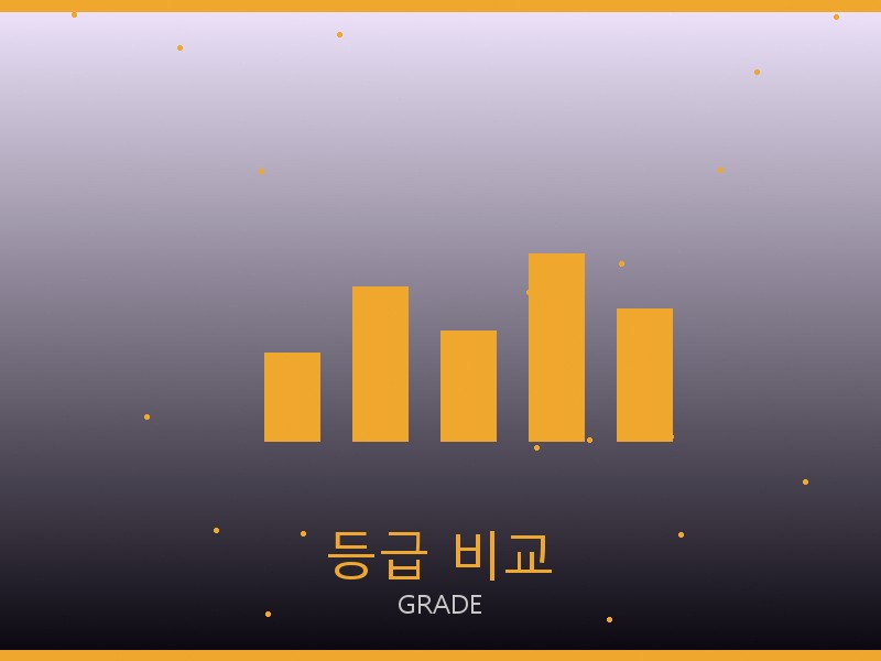폴로 레이디 루네타 체인 스몰 S급 등급 기준 비교
