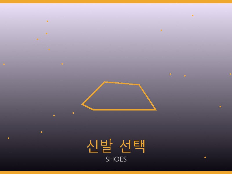 폴로 레이디 루네타 체인 스몰 S급 신발 선택 가이드